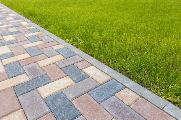 Best Driveway Paving Contractor  in Oak Grove, KY